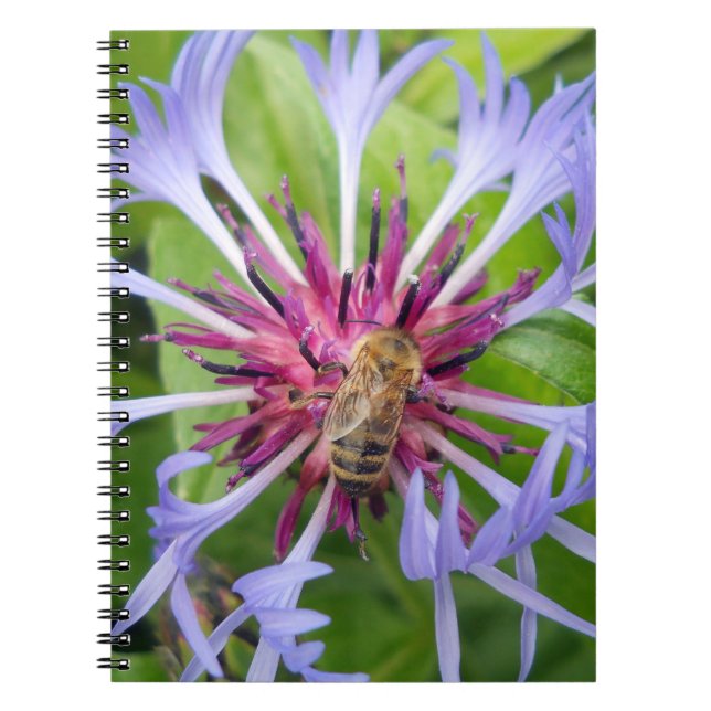 Caderno Espiral Honeybee Mandala (Frente)