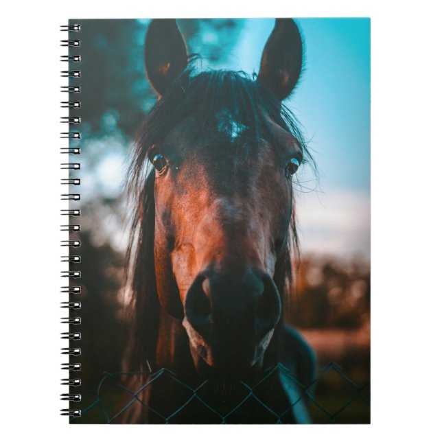 CADERNO ESPIRAL HORSE PORTRAIT (Frente)