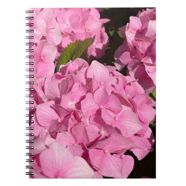 Caderno Espiral Hortênsia Rosa (Frente)