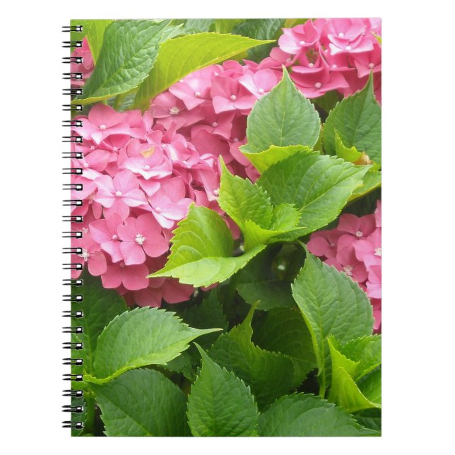 Caderno Espiral Hortênsias Rosa Intenso (Frente)