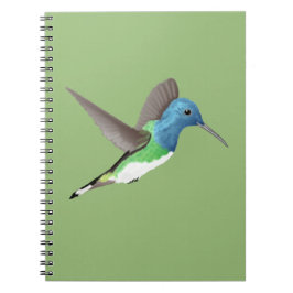 Caderno Espiral Hovering Jacobin Hummingbird - transparente.