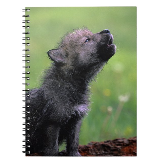 Caderno Espiral Howling Wolf Cub (Frente)