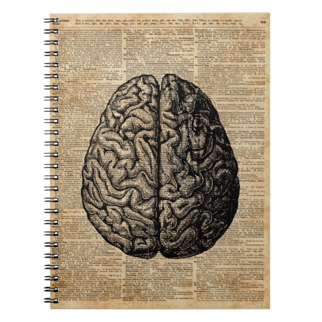 Caderno Espiral Human Brain Vintage Illustration Dictionary Art (Frente)