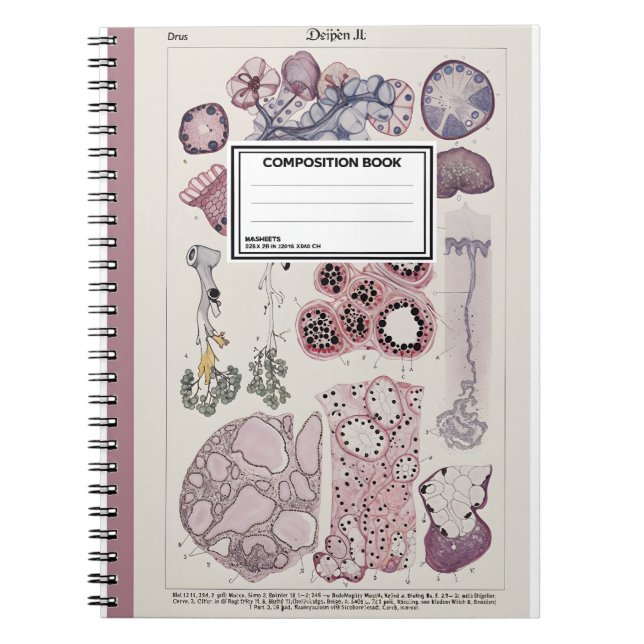 Caderno Espiral Human Tissue Histology Atlas Notebook (Frente)