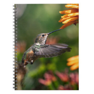 Caderno Espiral Hummingbird com Flores - Foto da Vida Selvagem