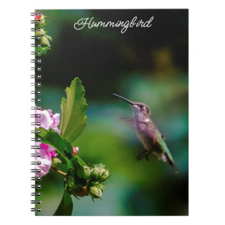 Caderno Espiral Hummingbird com garganta de rubi - Fotografia orig