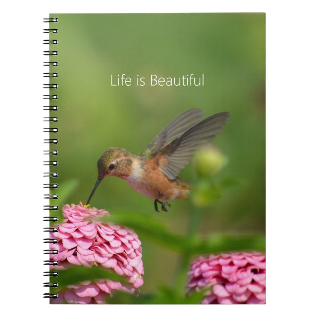Caderno Espiral Hummingbird Pink Zinnia Flowers (my photography) (Frente)