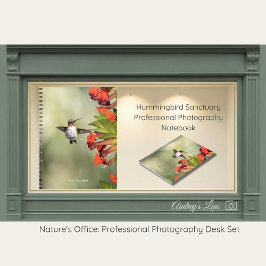 Caderno Espiral Hummingbird Sanctuary Professional Photography 