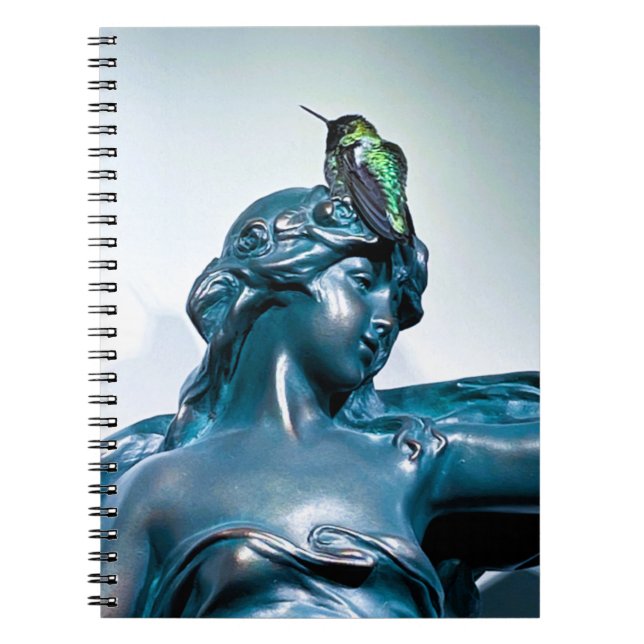 Caderno Espiral hummingbird view (Frente)