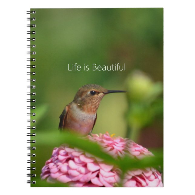 Caderno Espiral Hummingbird Zinnia Flower Garden (my photography) (Frente)