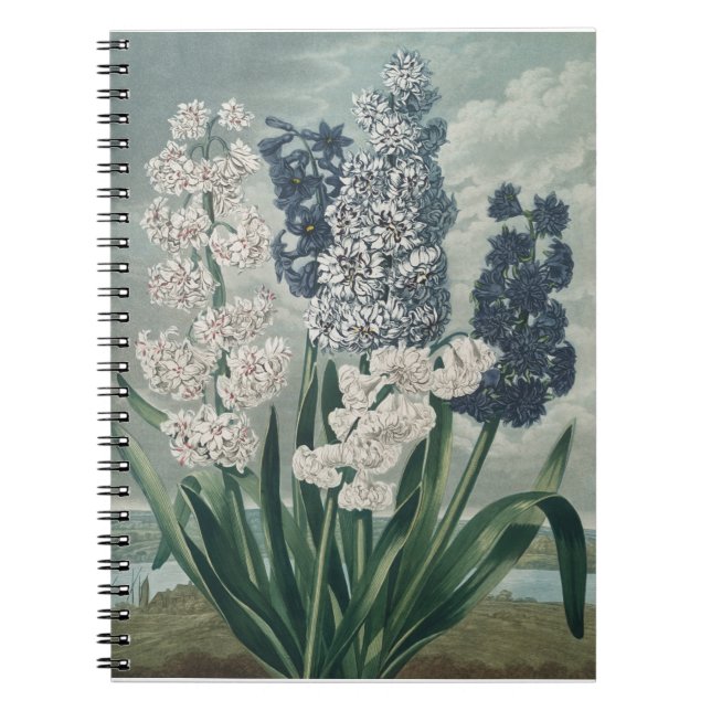 Caderno Espiral Hyacinths (1807) - Exquisite Vintage Botânica (Frente)