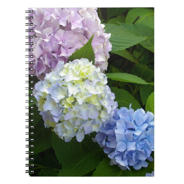 Caderno Espiral Hydrangeas (Frente)