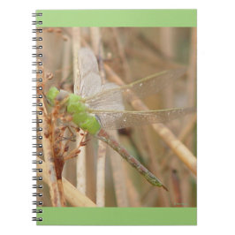 Caderno Espiral I1 Dragonfly Verde