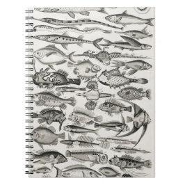 Caderno Espiral Ichtiologictiologia, peixes, oceanos, ictiólogo