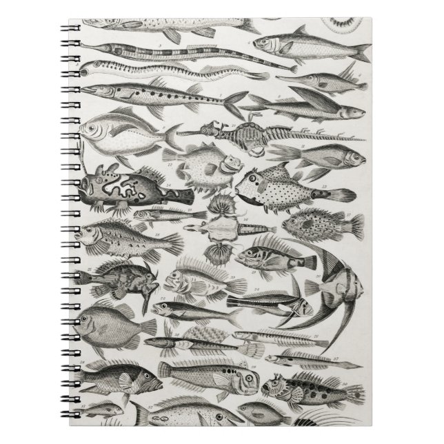 Caderno Espiral Ichtiologictiologia, peixes, oceanos, ictiólogo (Frente)