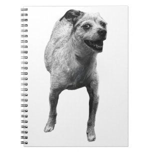 Caderno Espiral Ideias Com Um Saco