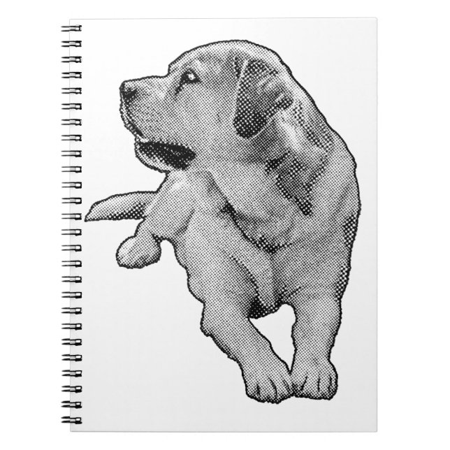 Caderno Espiral Ideias em tons pequenos (Frente)