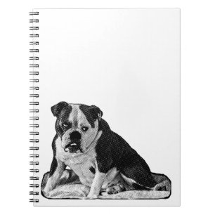 Caderno Espiral Ideias em tons suaves