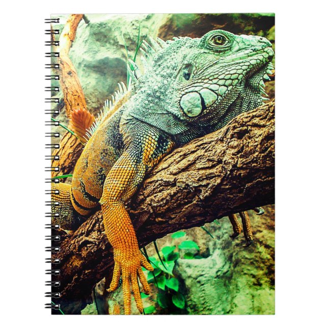 Caderno Espiral Iguana (Frente)