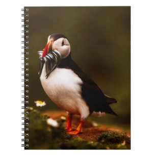 Caderno Espiral Ilha animal de Atlântico dos animais selvagens do