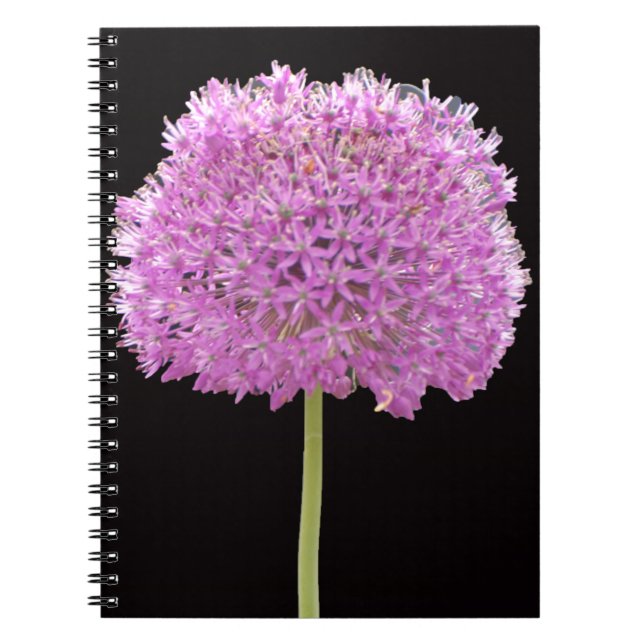 Caderno Espiral Illium Summer Primavera Flor - Design irlandês (Frente)