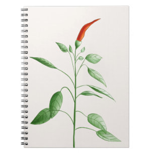 Caderno Espiral Ilustração botânica da planta da pimenta da