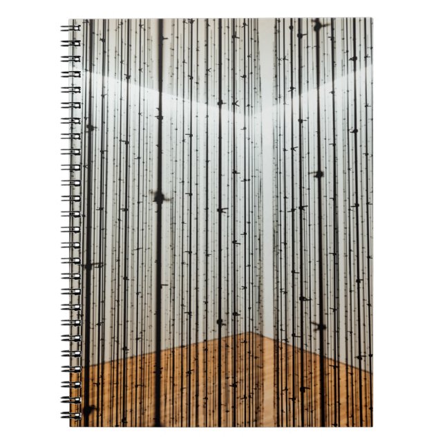 Caderno Espiral Ilustração castanha e preta (Frente)
