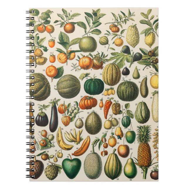 Caderno Espiral Ilustração Científica Botânica Vegetal fruta (Frente)