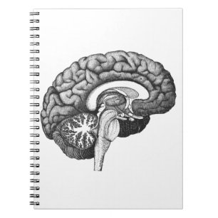 Caderno Espiral Ilustração da anatomia médica da Vintage no cérebr