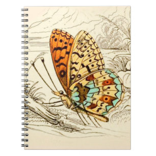 Caderno Espiral Ilustração da Borboleta Vintage, Laranja e bege