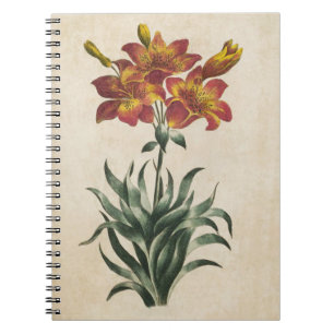 Caderno Espiral Ilustração da Lily Floral Botânica Vintage