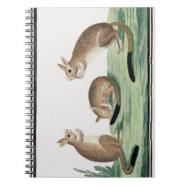 Caderno Espiral Ilustração de Coelhos Bonitos |