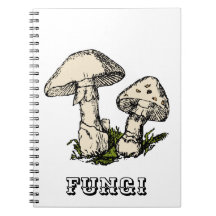 Ilustração de cogumelo