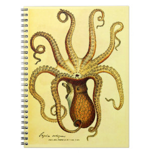 Caderno Espiral Ilustração Vintage de Polvo Diário de Campo   Escu
