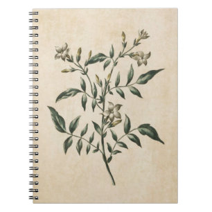 Caderno Espiral Ilustração Vintage Floral Floral Jasmine