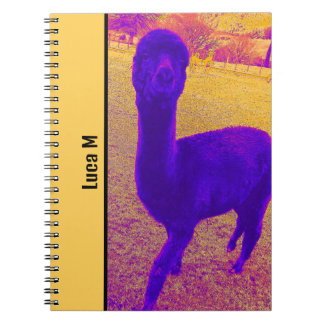 Caderno Espiral IMAGEM ALPACA DE CAPTURA DE OLHOS abstrato