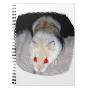 Caderno Espiral Imagem branca e loura do hamster do albino