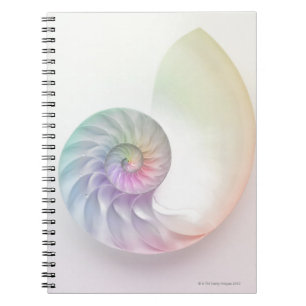 Caderno Espiral Imagem colorida artística do nautilus
