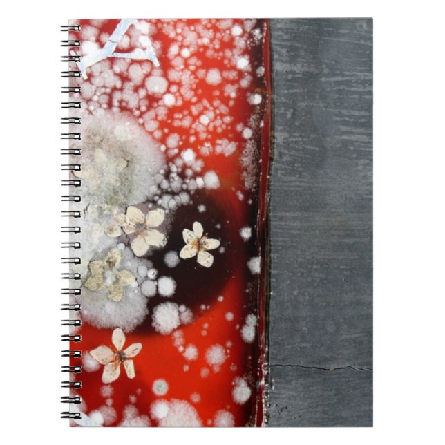 Caderno Espiral Imortalidade 2 (Frente)