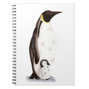 Caderno Espiral Imperador Cinto Pinguim e Pintinho