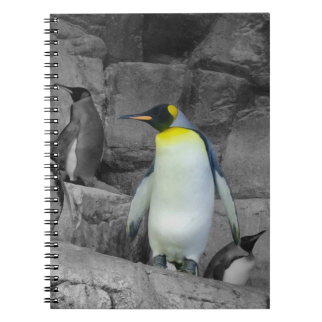 Caderno Espiral Imperador Penguin (Frente)