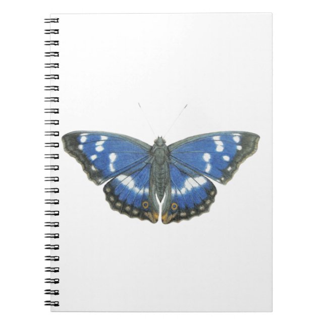 Caderno Espiral Imperador roxo 2012 (Frente)