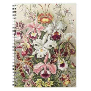 Caderno Espiral Impressão Botânica Vintage de Orquídea de Ernst Ha