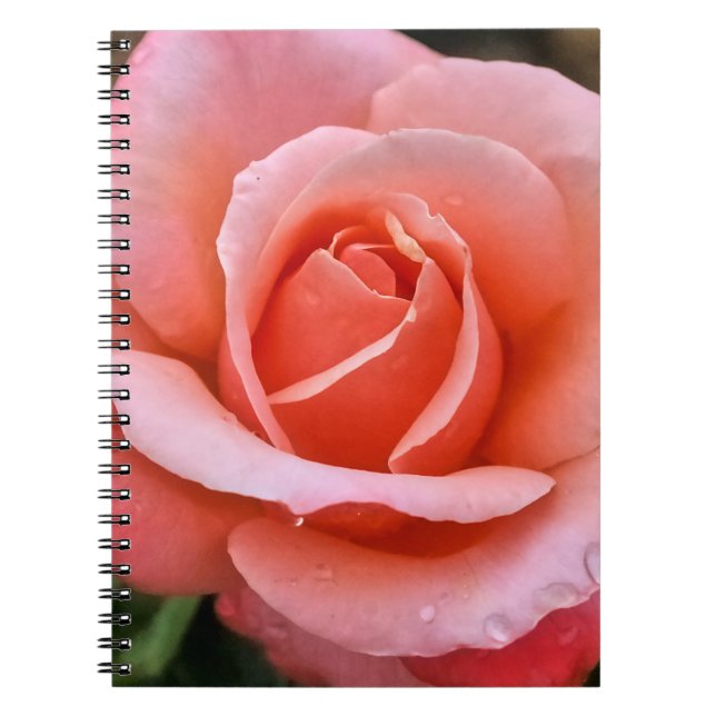 Caderno Espiral Impressão de Arte Botânica Rosa Romântica (Frente)