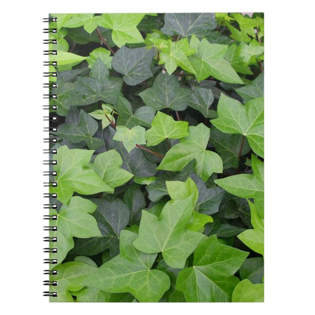 Caderno Espiral Impressão de Botânica de Ivy Verde (Frente)