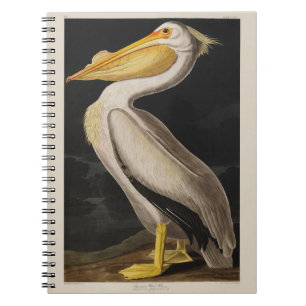 Caderno Espiral Impressão de colheita de aves pelicanas brancas de