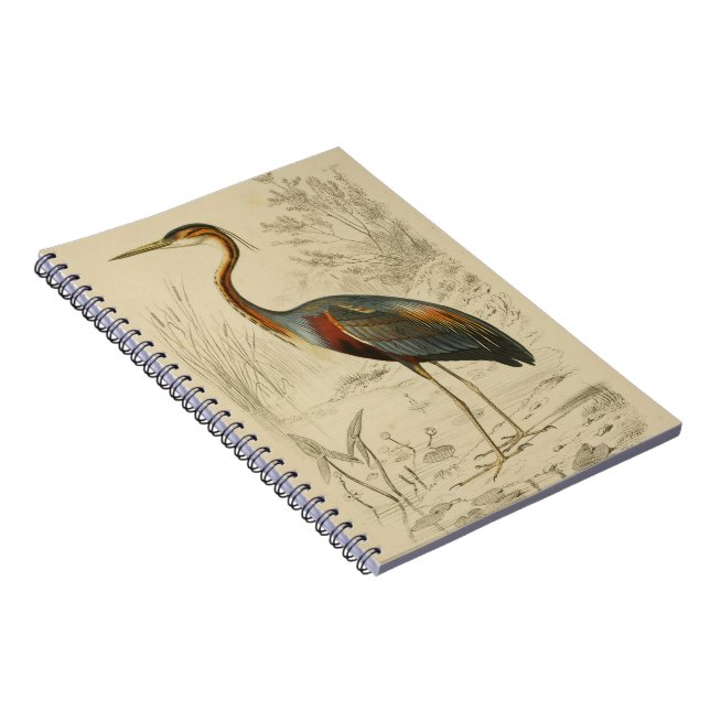 Caderno Espiral Impressão de Edouard Roxo Anítico (Lado Direito)