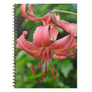Caderno Espiral Impressão de lírio de tigre laranja