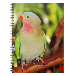 Caderno Espiral Impressão verde do parakeet da princesa