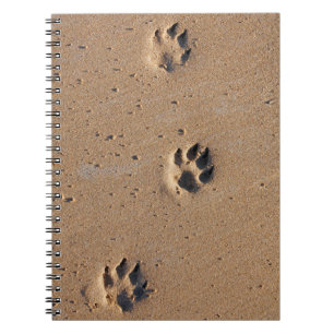 Caderno Espiral Impressões da pata do cão em um Sandy Beach